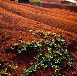 《索尼克：超级巨星》公布发售宣传片和全新截图