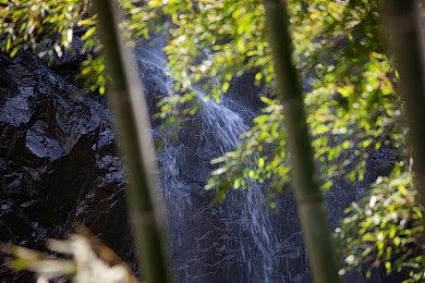 《Zombie Police～圣诞节与僵尸共舞～》Steam页面 支持简体中文